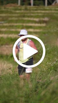 BIB:  <button type="button" onclick="openModal(26786770)" class="btn btn-primary btn-sm float-right" data-toggle="modal" data-target=".modal-high-quality">
                <i class="fa fa-download"></i> Download
                </button>